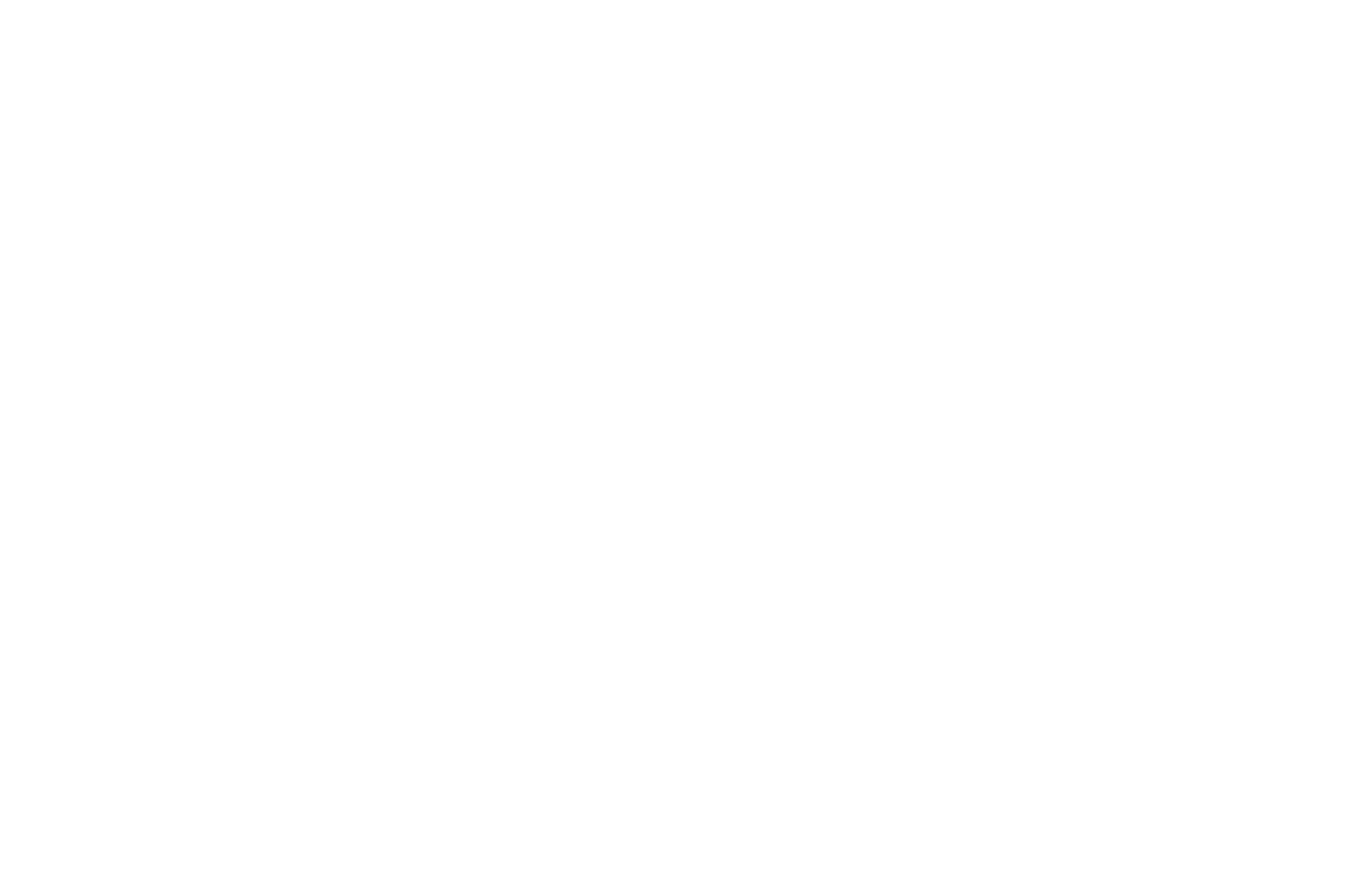 Wellesley College Logo